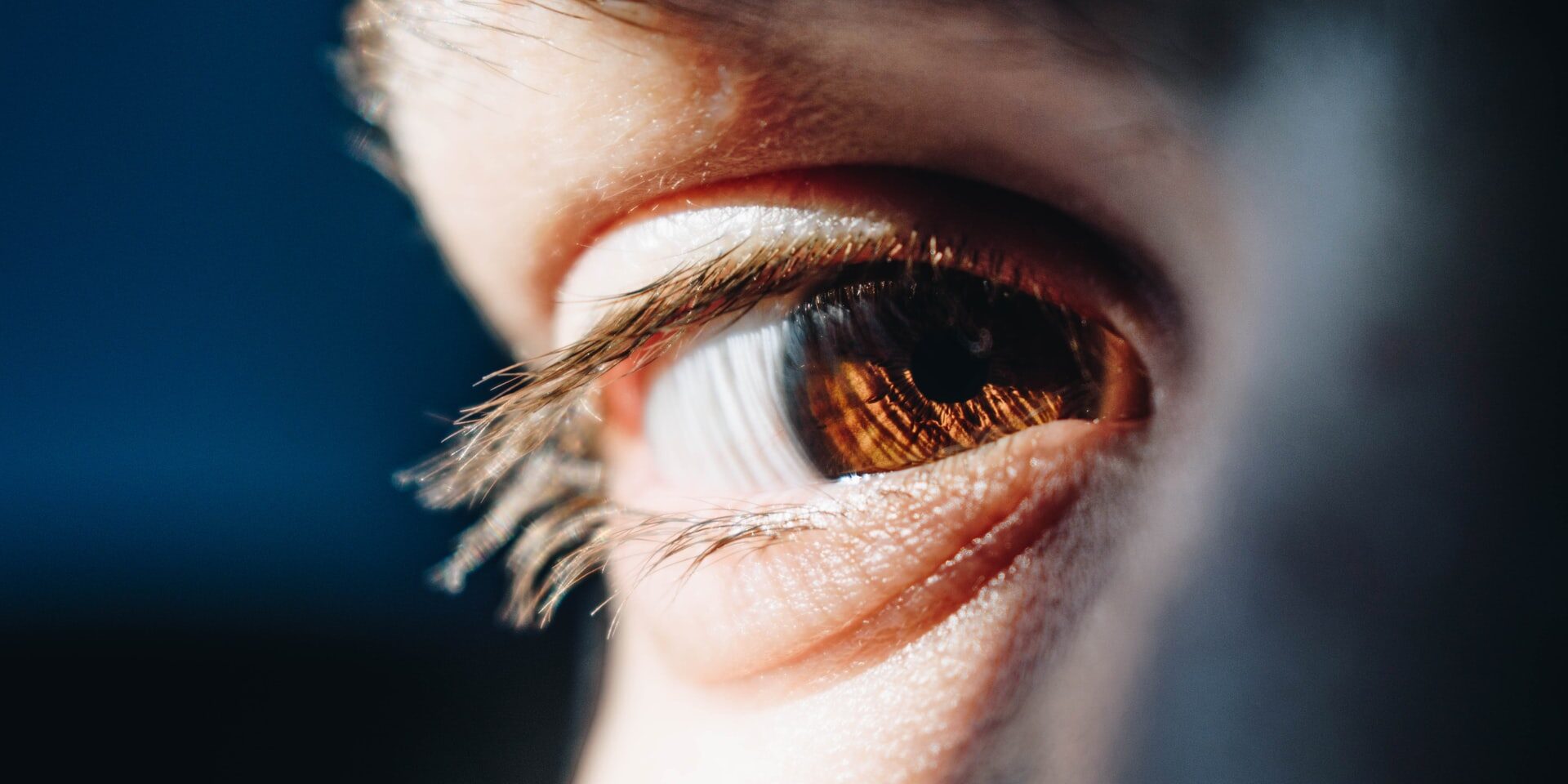 bacila-vlad-WTThc6UmwEI-unsplash